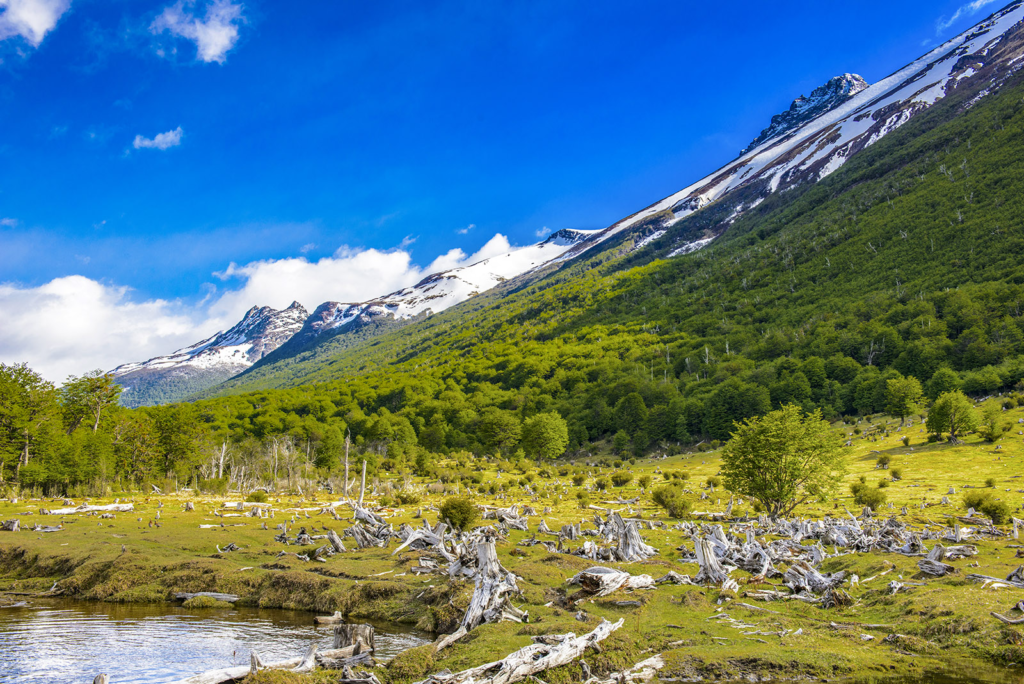 Visit Tierra Del Fuego National Park