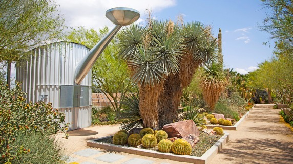 Dive Into History At Springs Preserve