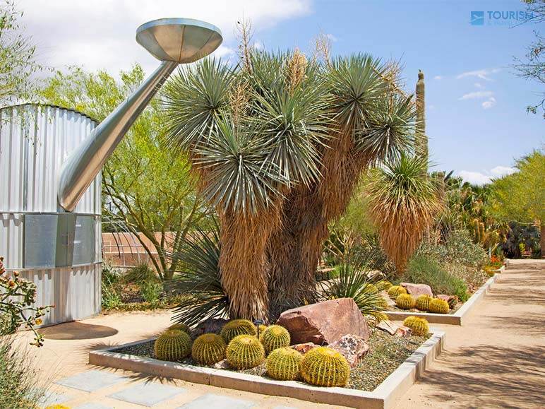 Take A Walk Through The Springs Preserve