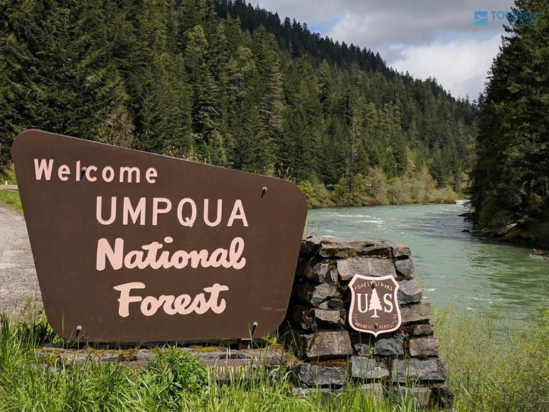 Where You Can Stay In Umpqua National Forest