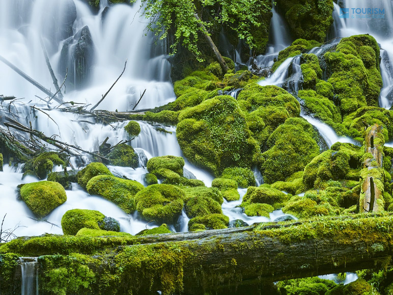 Visit The Clearwater Falls