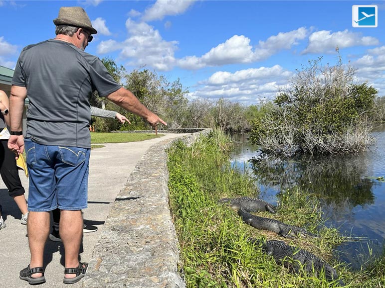 Verdant Sanctuaries and Natural Rhapsodies: Everglades National Park