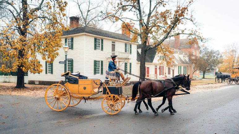 Take a Stroll Down Duke of Gloucester Street